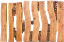 Zaun gr-TOR---